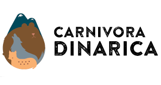 Carnivora dinarica