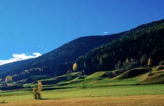 Gozd na hribu in travnik