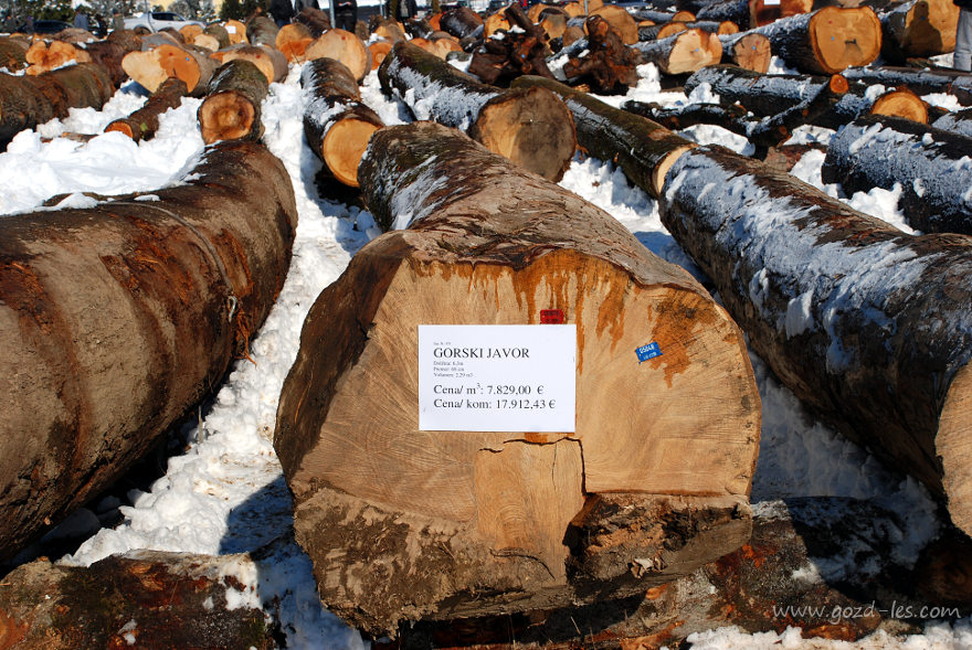 Najdražji hlod na licitaciji lesa 2018
