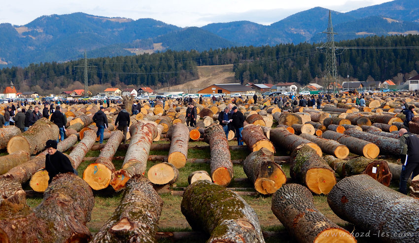 Dražba lesa Slovenj Gradec 2020