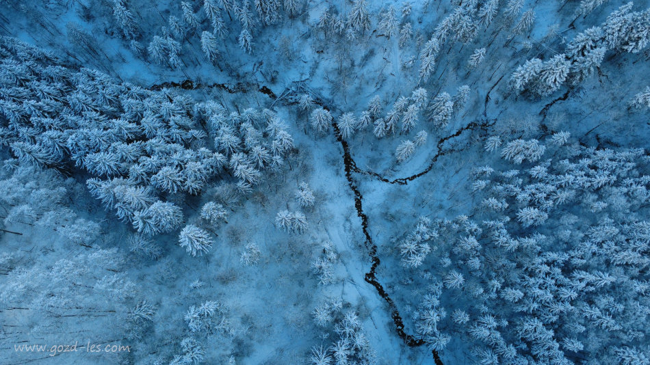 Potok v gozdu v snegu iz zraka