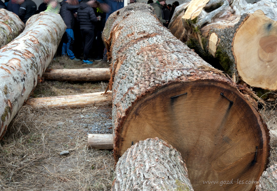 Hlod gradna na dražbi