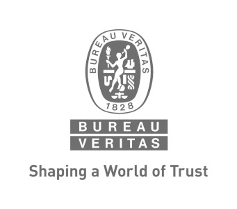 Bureau Veritas Logo