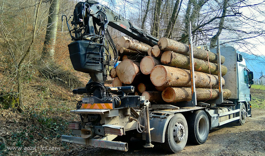 Kamion za prevoz lesa z naloženimi hlodi